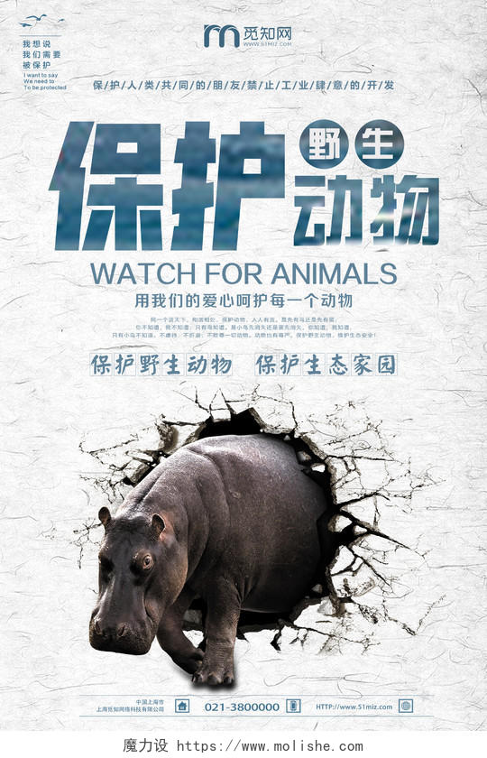 简单大气浅灰保护野生动物宣传海报